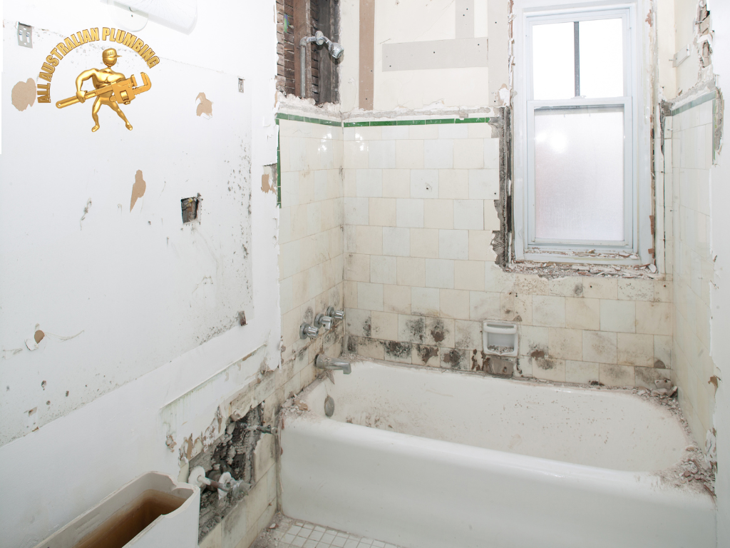 bathroom renovations