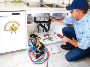 emergency plumber bondi